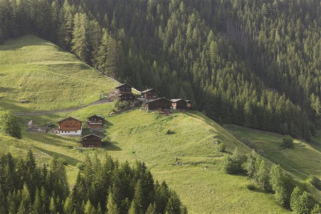 Schutzwald