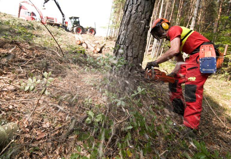 Waldarbeiter Wald Südtirol Holz