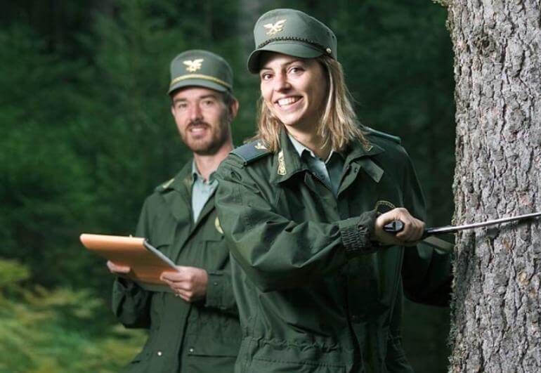 Förster Wald Bäume