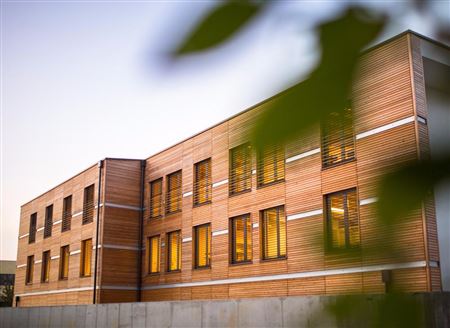 Lignoalp Damiani legno capannone industriale