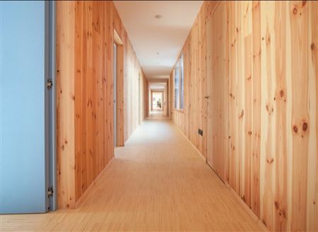 Lignoalp Damiani Holz & KO Wohnhaus Holzbau  modern