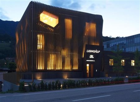 Lignoalp Damiani Holz & KOFirmensitz Holzbau  modern