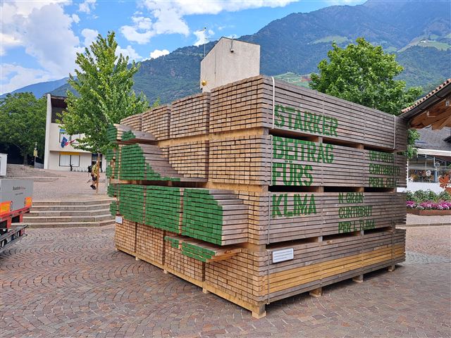 Holzstapel_Naturns