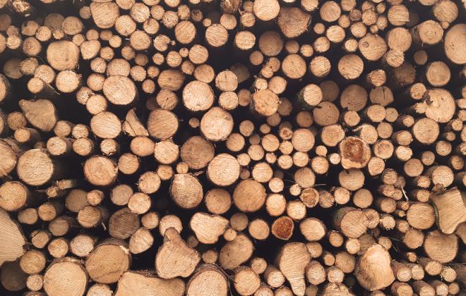 Tronco tronchi legno Alto Adige